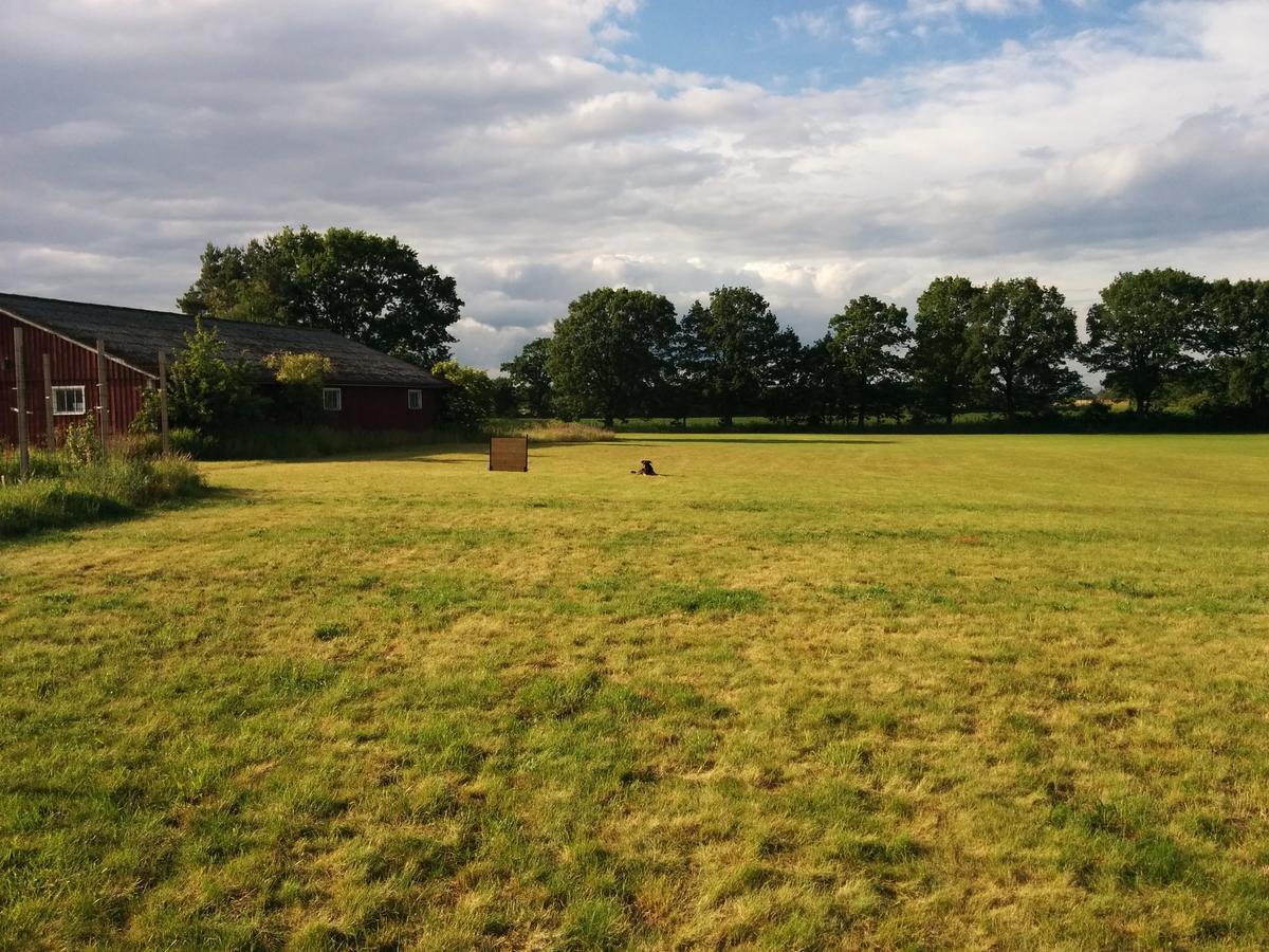 Olserods Hundcenter & Vandrarhem Degeberga Buitenkant foto