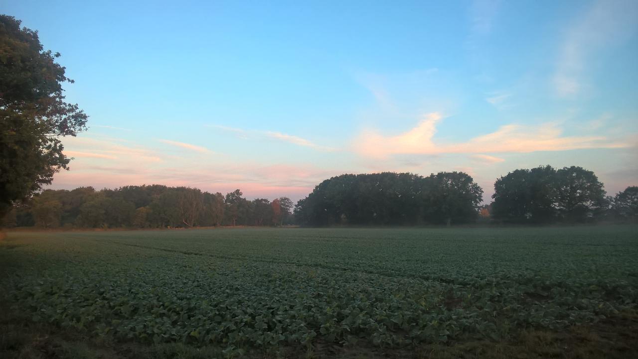 Olserods Hundcenter & Vandrarhem Degeberga Buitenkant foto