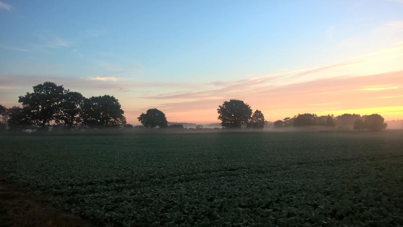 Olserods Hundcenter & Vandrarhem Degeberga Buitenkant foto